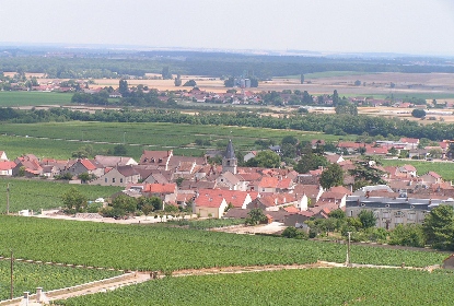The Wines of Côte de Nuits Burgundy, France with Jay Youmans MW In